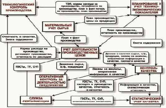 в мире, который нас окружает, 